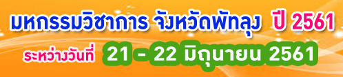 vichakarn61pt
